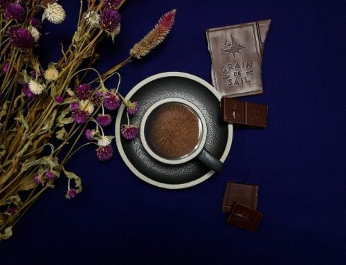 Grain de Sail, le chocolat breton